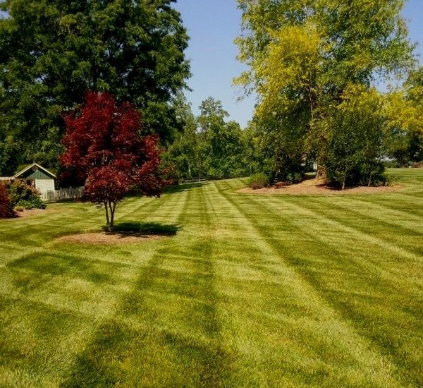 2w-9f875e8f-7e724c39-9e14b2d0-1920w