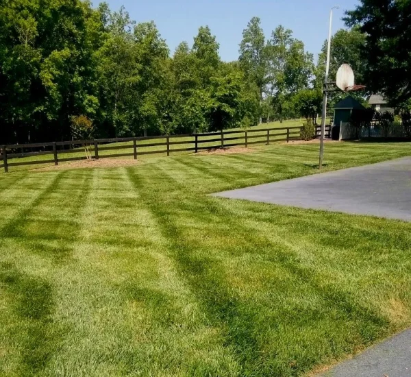 4w-60a70eb6-3b037640-a4541d7f-1920w